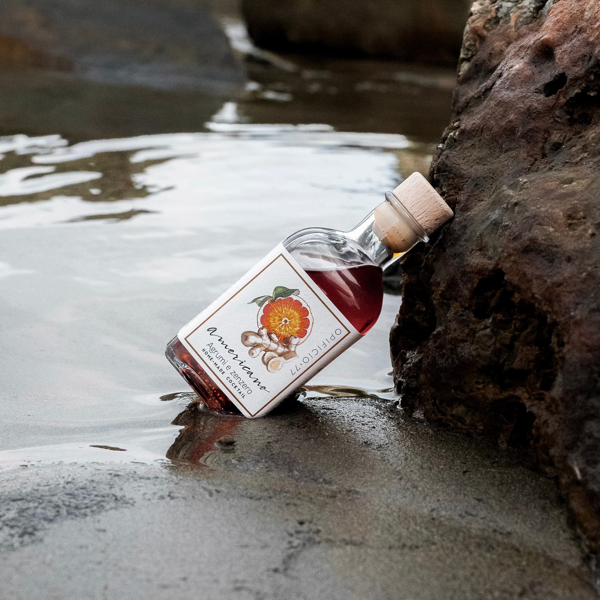 Americano | Agrumi e Zenzero | Monodose (SOLO PER BOX) - Opificio 77