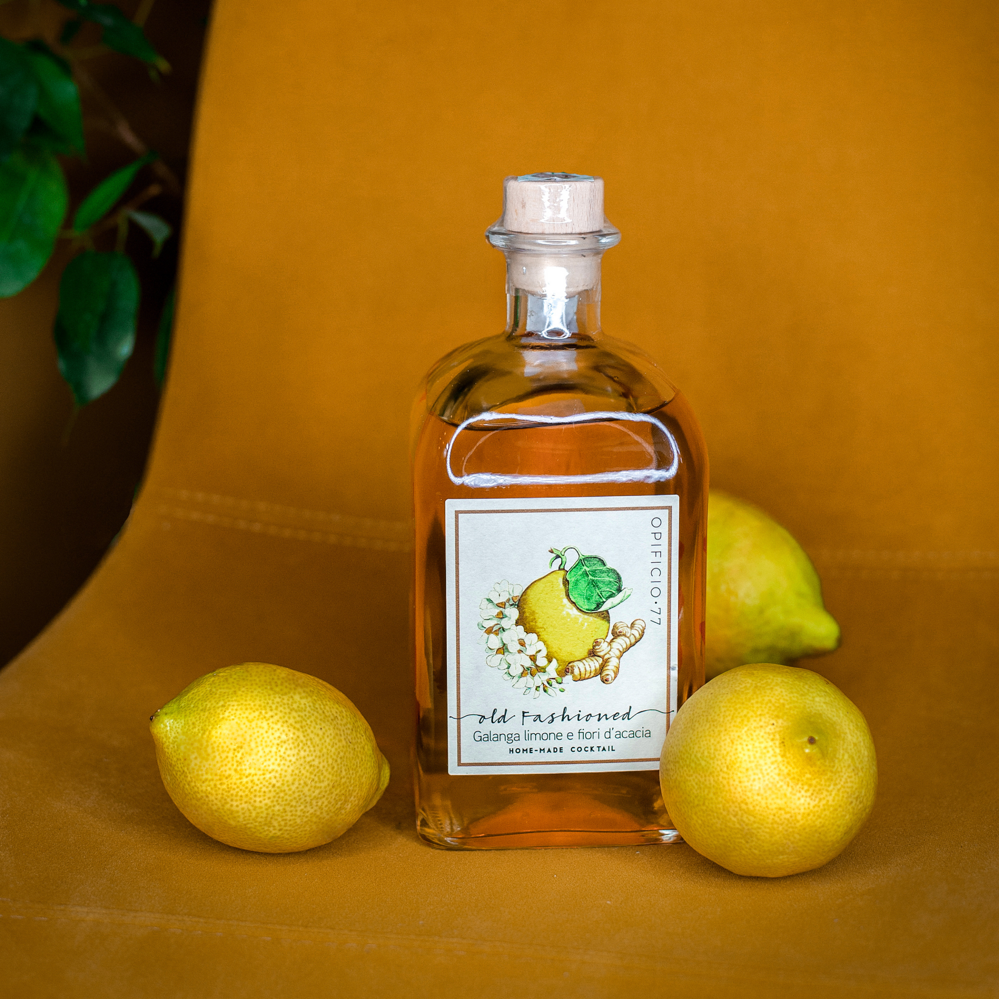 Old Fashioned | Galanga, Limone e Fiori d'Acacia (SOLO PER BOX 700 ML) - Opificio 77