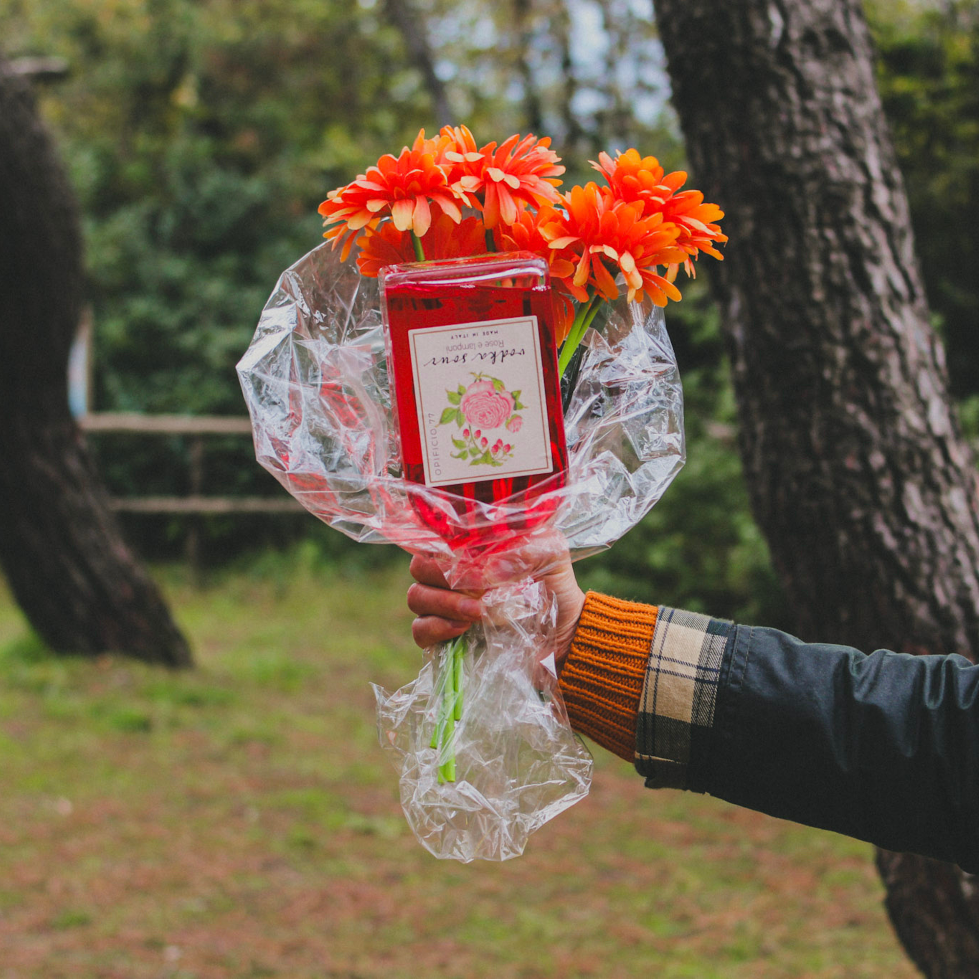 Vodka Sour | Rose e Lamponi